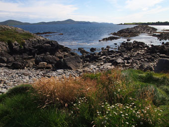 Dunmanus Bay coastline