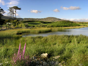 Farranamagh Lake